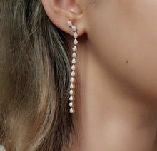 Load image into Gallery viewer, Rose-Tone Dangle Earrings